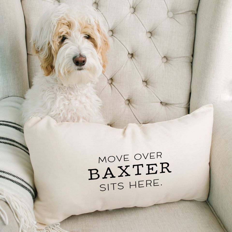 West elm 2025 monogrammed dog pillow