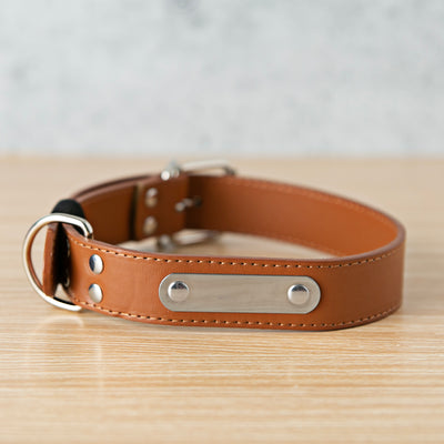 Personalized Leather Pet Collars