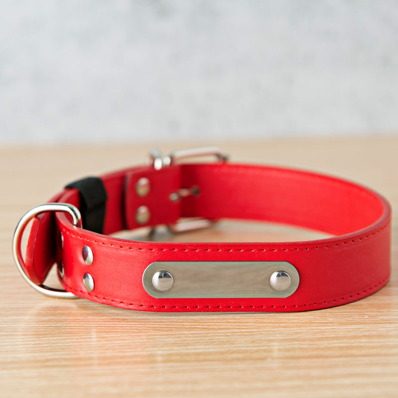 Personalized Leather Pet Collars