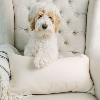 Personalized Pet Lumbar Throw Pillow Covers