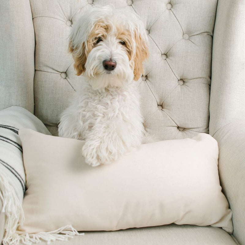 Personalized Pet Lumbar Throw Pillow Covers