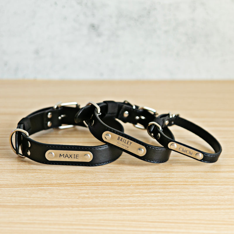 Qualtry shop dog collar