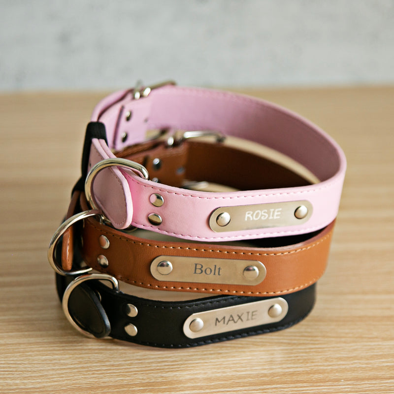 Personalized Leather Pet Collars