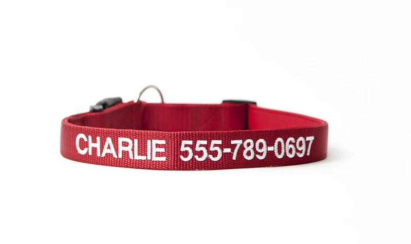Personalized Dog Collars