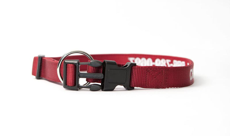 Personalized Dog Collars