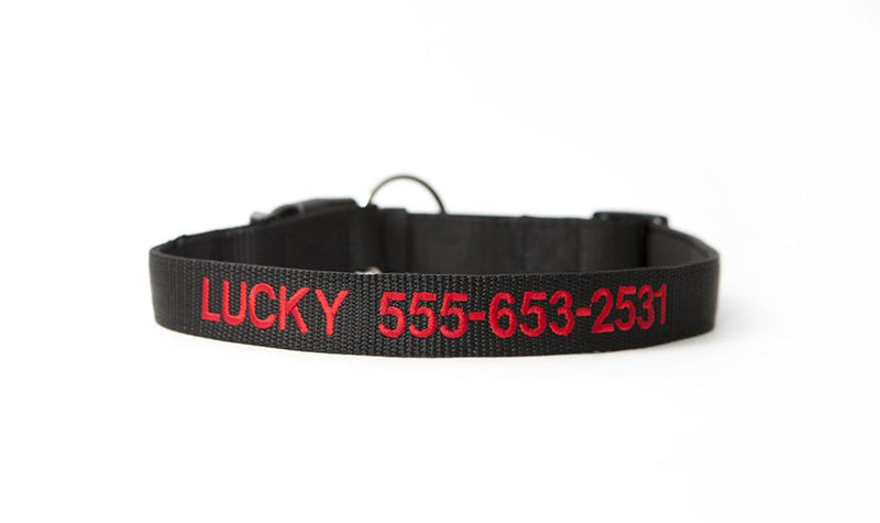 Personalized Dog Collars