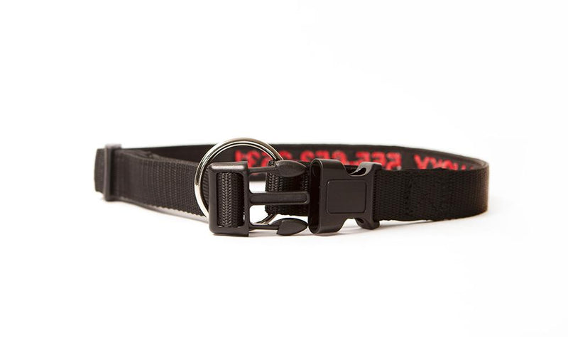 Personalized Dog Collars