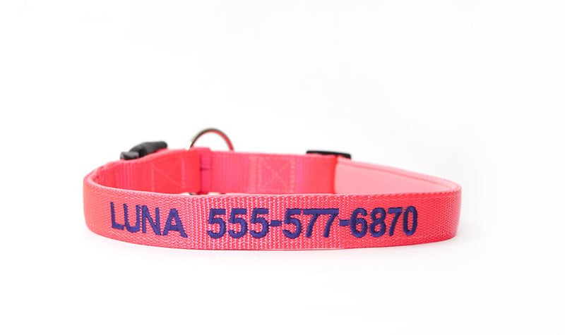 Personalized Dog Collars