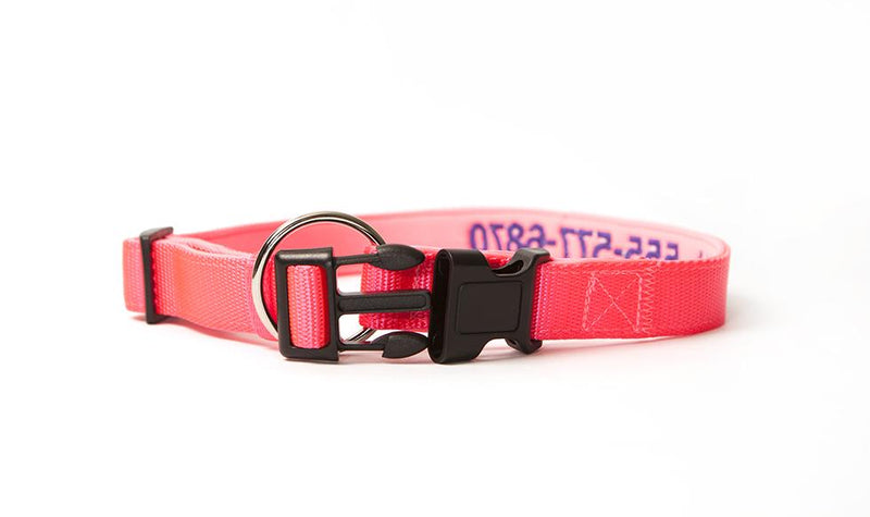 Personalized Dog Collars