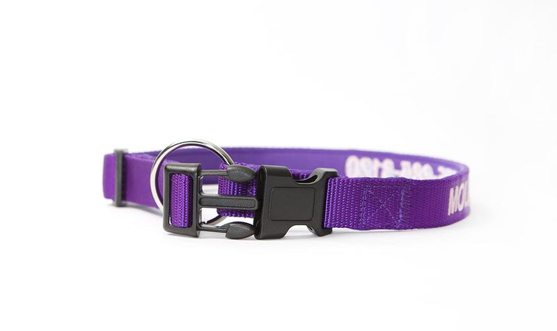 Personalized Dog Collars
