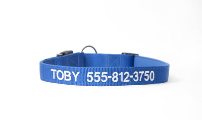 Personalized Dog Collars
