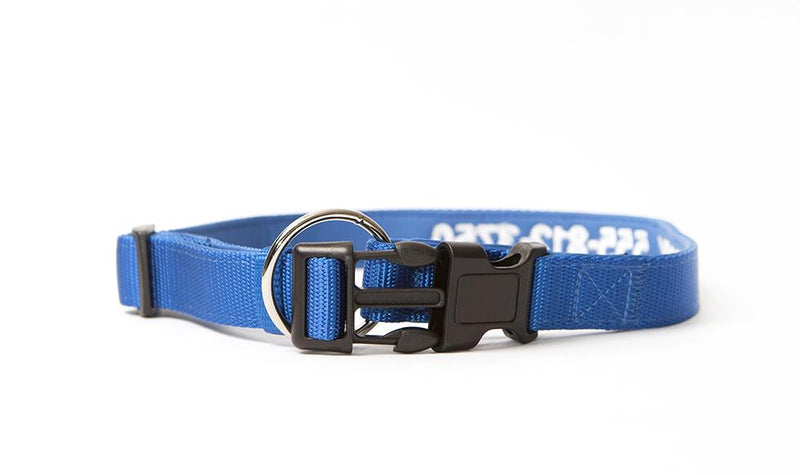 Personalized Dog Collars