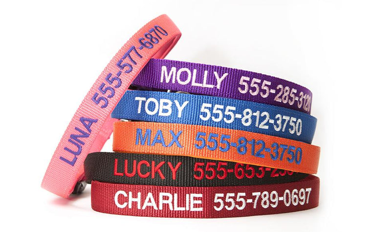 Personalized Dog Collars – Qualtry
