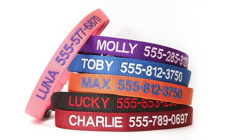 dog collar with name