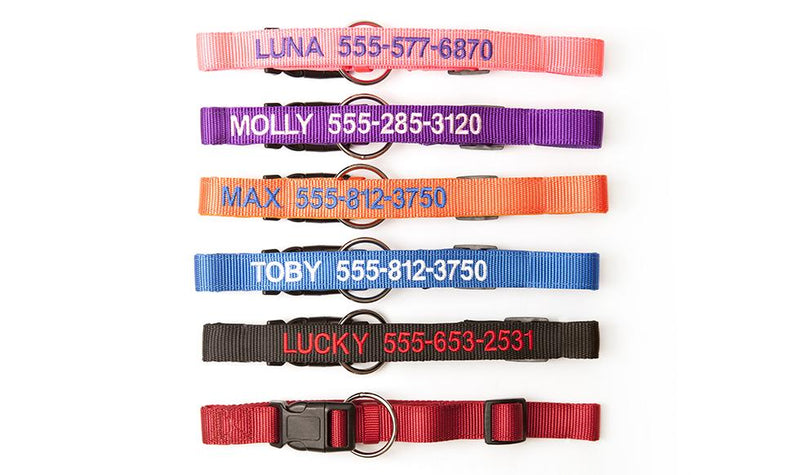 Personalized Dog Collars