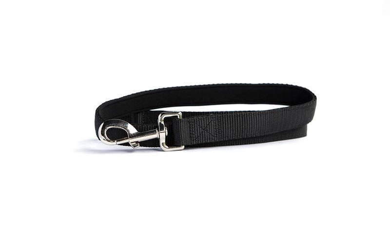 Personalized Dog Leash