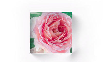 Personalized Acrylic Photography Display Blocks