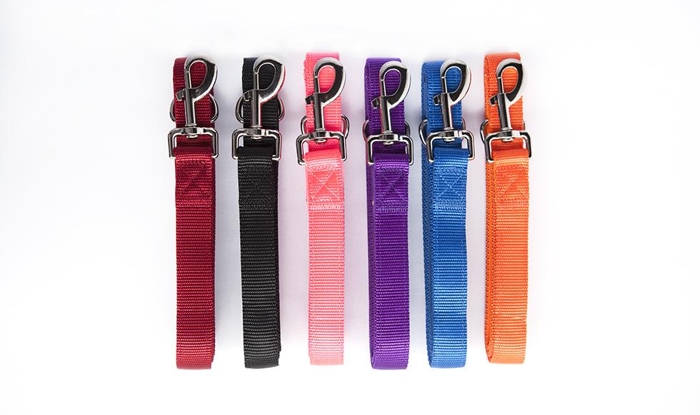 Qualtry dog sales collars