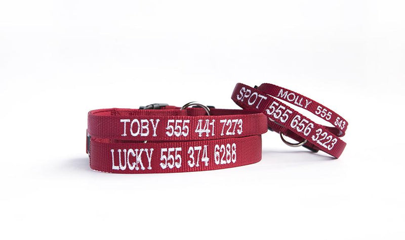 Personalized Dog Leash