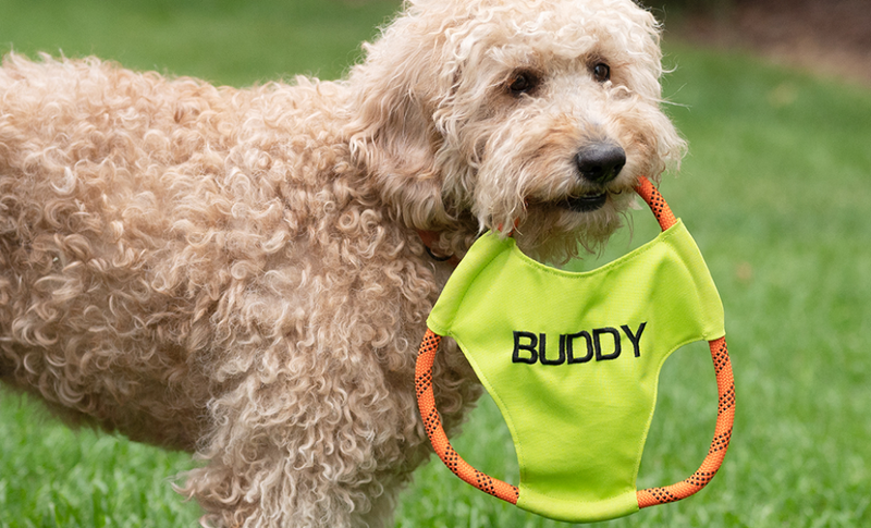 Personalized Dog Rope Frisbee