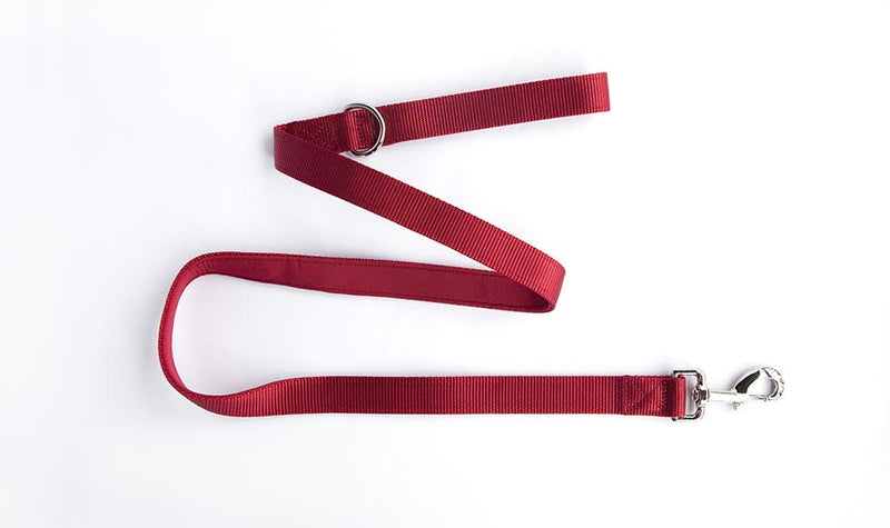 Personalized Dog Leash