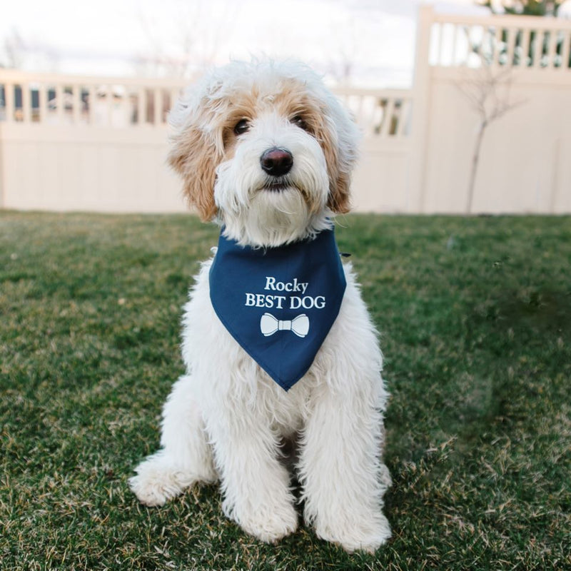 Personalized dog deals bandannas