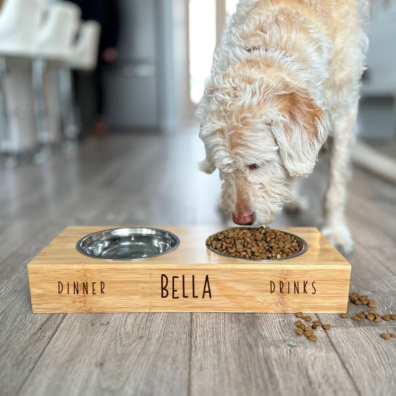 Personalized Dog and Cat Feeding Stands with Bowls Qualtry