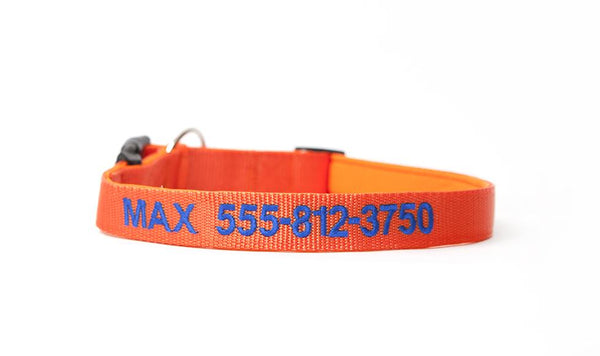 Personalized Dog Collars