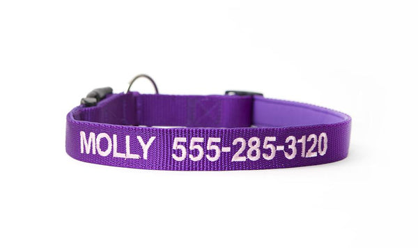 Personalized Dog Collars