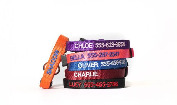 Personalized Cat Collars